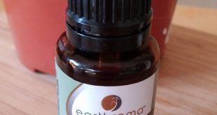 Bakterielle Vaginose Hausmittel