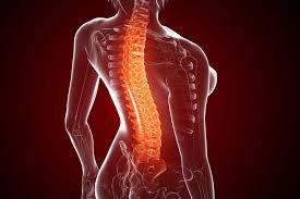 Osteoporose Hausmittel